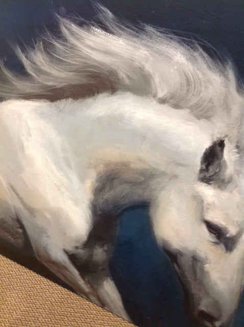 47" X 60" White Horse & Navy Canvas