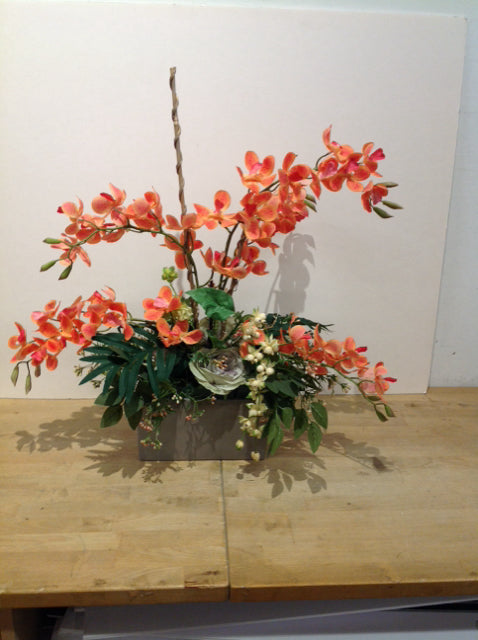 27" Orange Vanda Orchids in Grey Vase
