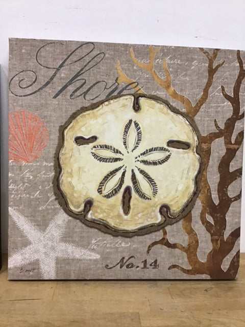 22" Square San Dollar Shore Art