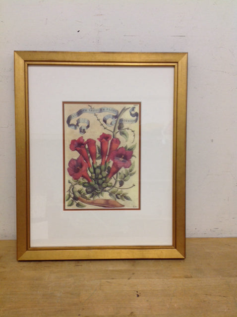 18x22 Framed Giovanni Battista Floral Print
