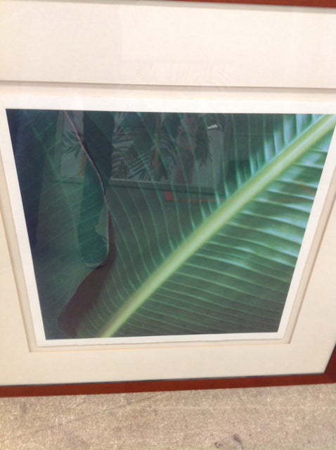 35" Sq Palm Leaf Print