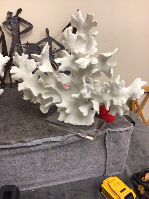 Z Gallerie Ivory Faux Finger Coral On Acrylic Base