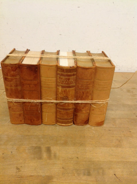Set Of 6 Decorative Books