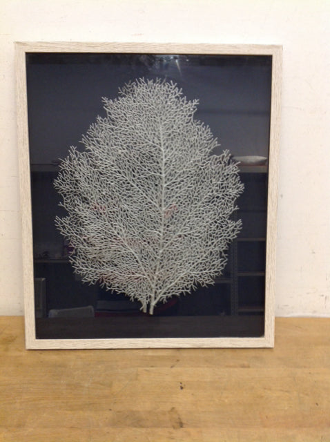 21.5x25.5 Shadow Boxed Framed Faux Coral