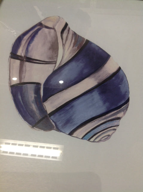 21" X 25" Blue Shell Print