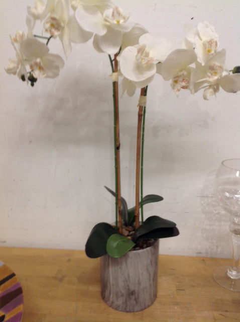 24" White Orchid In Grey Pot