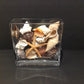 8" Rectangular Glass Vase w/Sea Shells