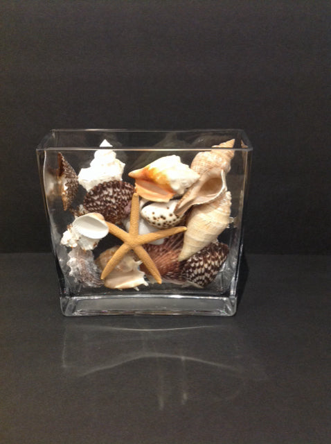 8" Rectangular Glass Vase w/Sea Shells
