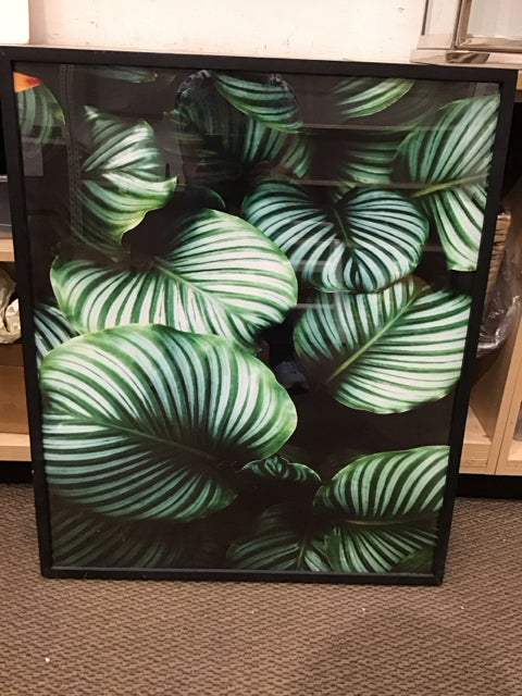 30x36 Framed Botanical Print AS-IS Frame Nicked