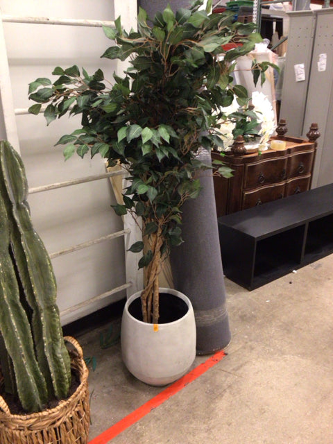 Faux Ficus Tree In Grey Planter