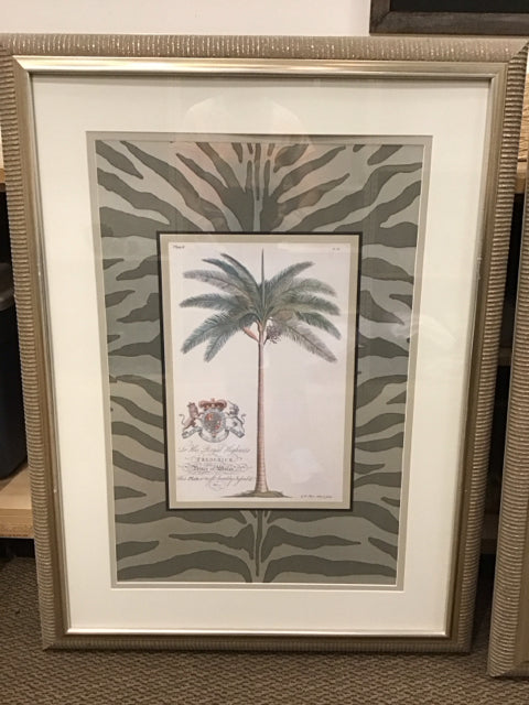 33x46 Framed G Dionysius Palm Tree Print