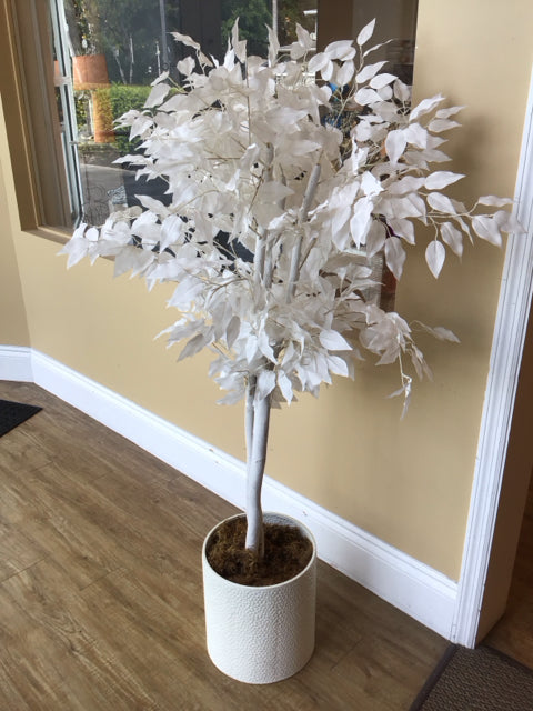 5' Faux White Ficus Tree