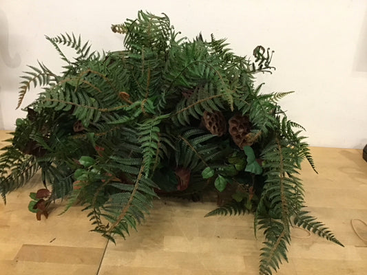 Fern & Seed Pods In Oval Pot