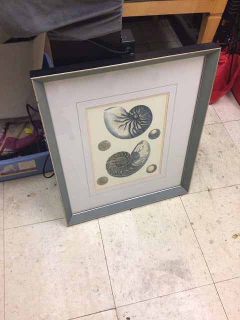 17 1/2" X 21" Black & Grey Framed Shell Print