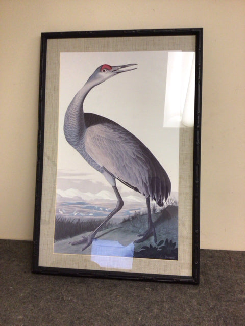 23 1/2" X 36" Black Framed Crane Print