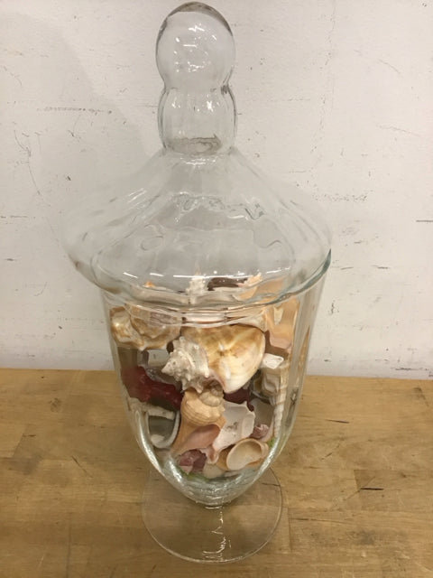 14.5" Clear Glass Jar W/Shells