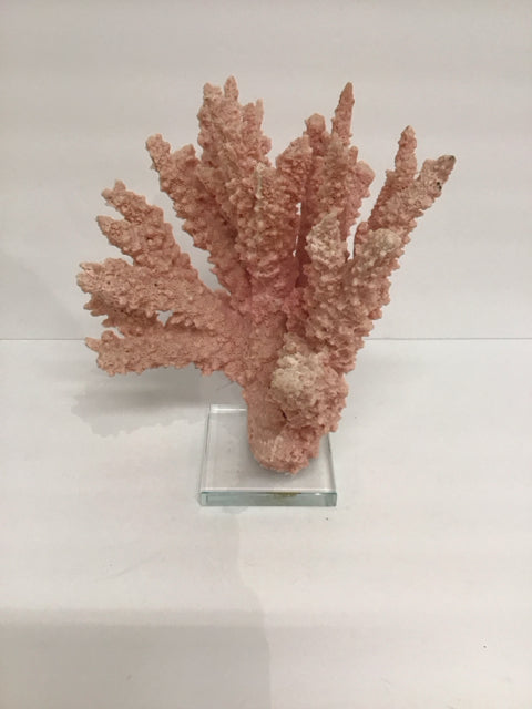 12" Pink Sea Coral on Lucite Base