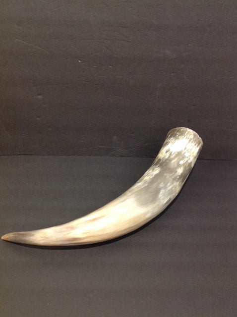 18" Animal Horn