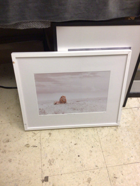 20.25" X 16.5" White Framed Lion Wall Decor