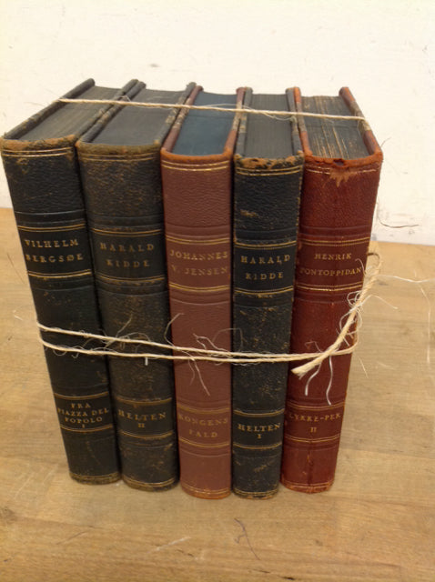 Set Of 5 Decorative Books