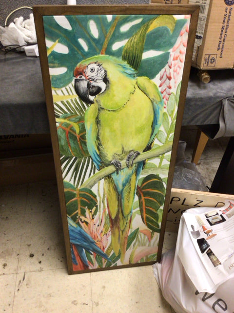 15 1/2" X 39" Framed Macaw Print On Canvas