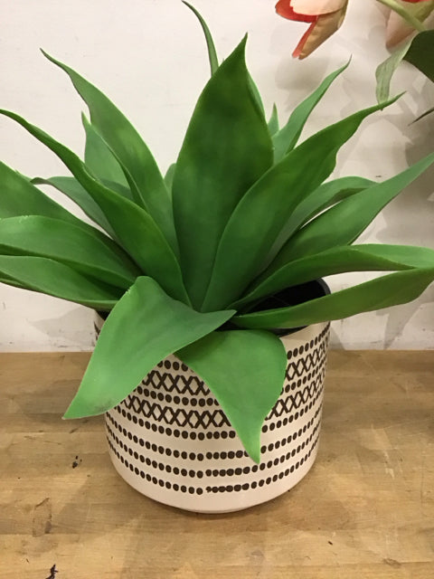 Faux Agave Plant In Cream & Black Planter
