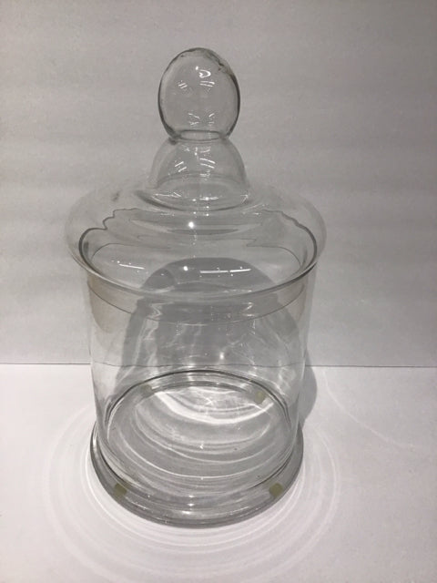 17" Glass Canister w/Lid