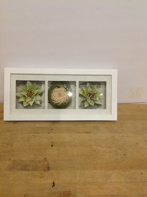 18"x8.5" White Shadow Box Framed Flowers