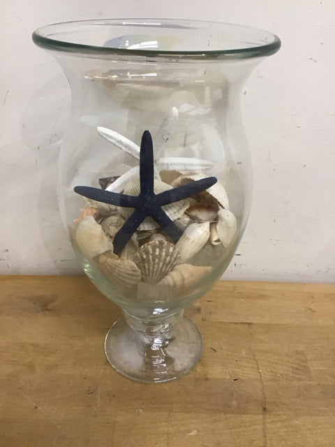 12.5" Clear Glass Hurrican W/Shellls