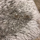7.7 X 5.0 Dallas Silver Rug