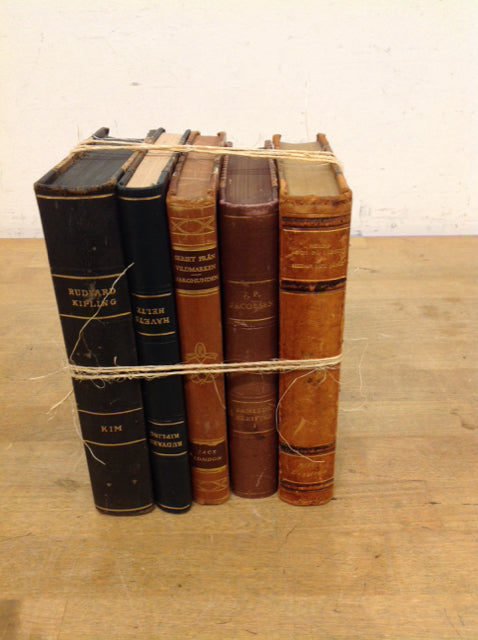 Set Of 5 Decorative Books