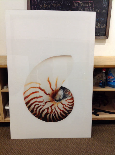 40x60 Nautical Shell Art