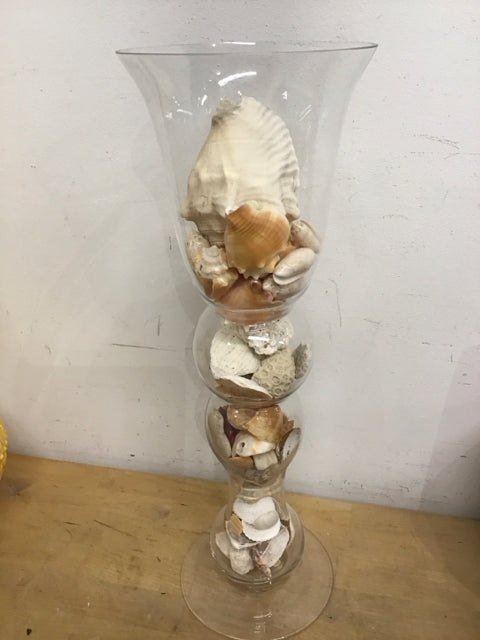 19.5" Scalloped Clear Glass Vase W/Shells