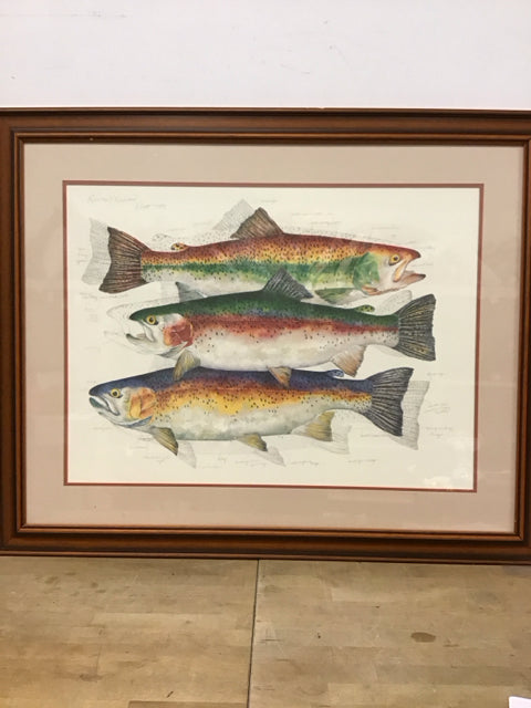 41"x33" Rainow Trout" By Eileen Trout Print