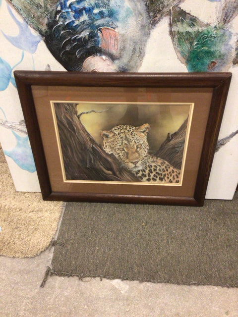 Sally Jones Leopard Framed Art