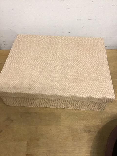 12"x4" Beige Textered Snake Pattern Document Box