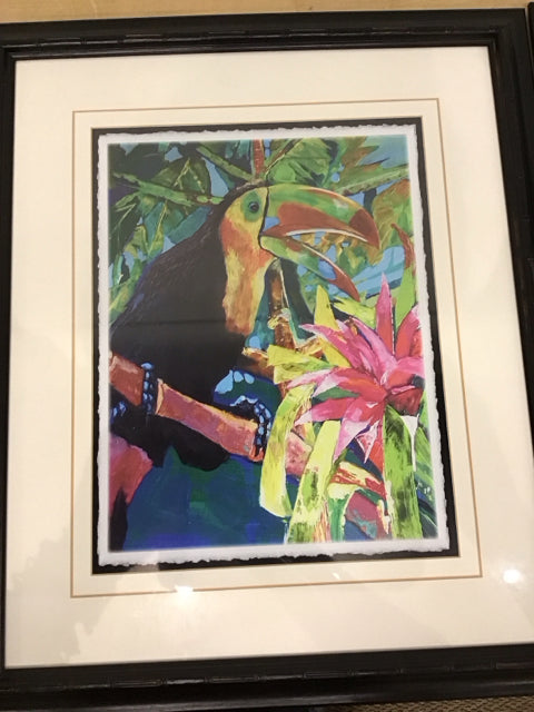 28"x23" Toucan Tropical Art Print