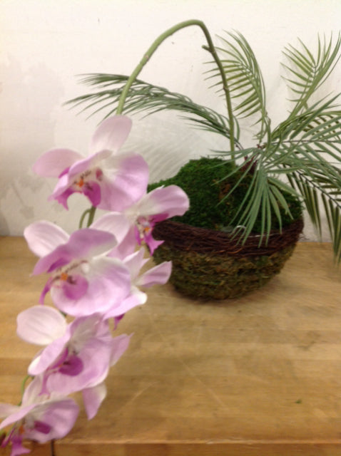 Hanging Moss Basket W Pink Orchid