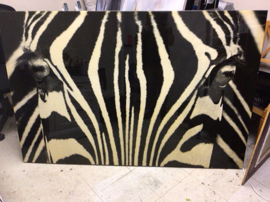 66" X 44" Black & White Lacqured Zebra Wall Decor