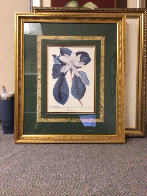 27 x 33 Magnolia Botanical Print W/ Gilt Frame
