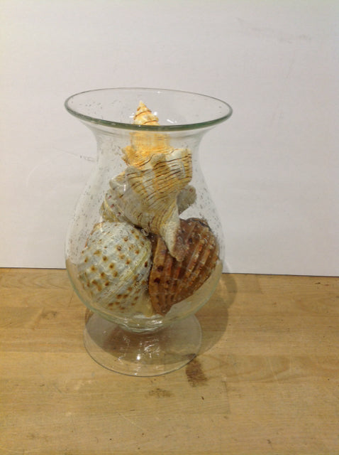 Glass Pedestal Hurricane w/Resin Seashells