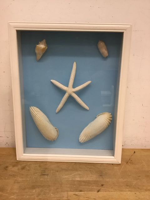 12x15 Shadow Box Framed Sea Shells