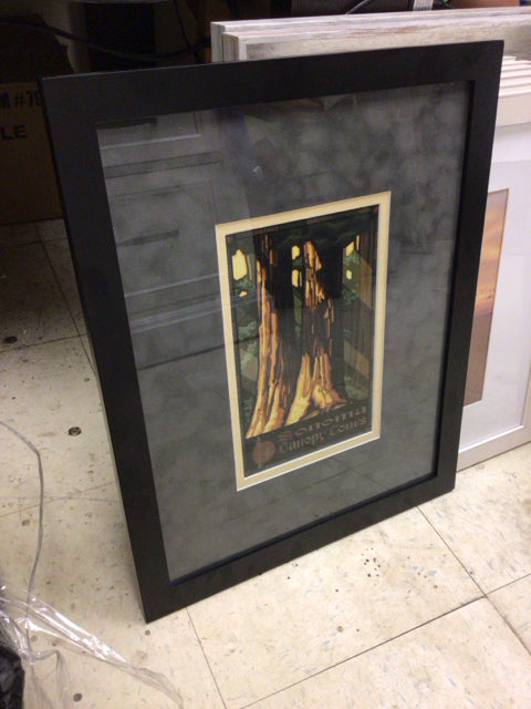 20" X 16" Black Framed Sonoma Canopy Tours Print
