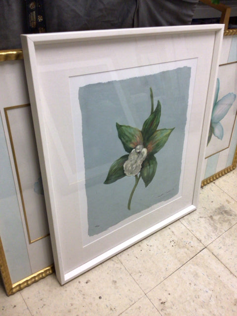 24 1/8" X 26 7/8" White Framed Orchid Print W/C.O.A