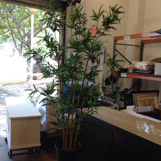 Silk Bamboo Tree