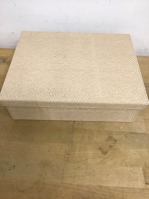 12"x4" Beige Textered Snake Pattern Document Box
