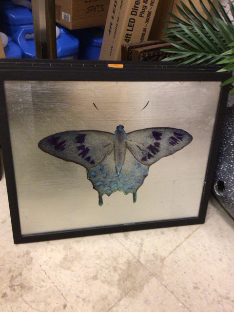 19 3/4" X 15 3/4" Uttermost Black Framed Butterfly Wall Decor