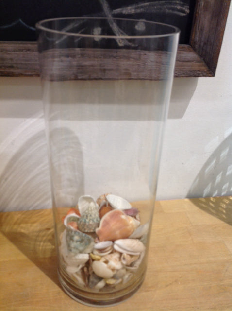 Vase- 14" Clear Glass W Shells