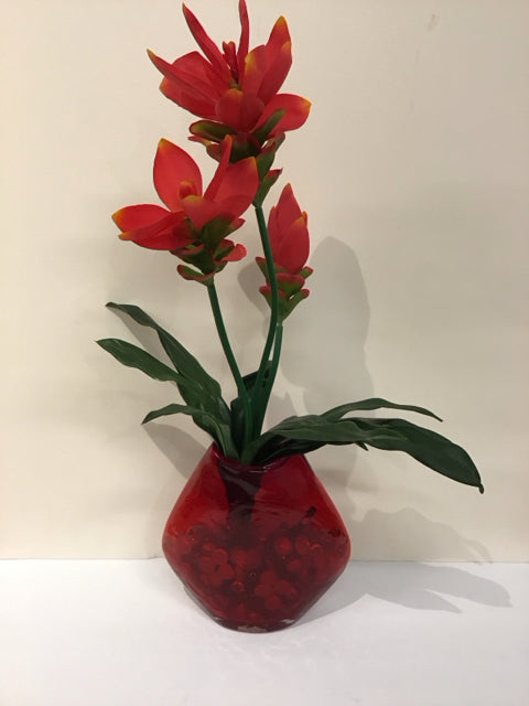 Red Torch Ginger in Red Art Glass Oval Vase