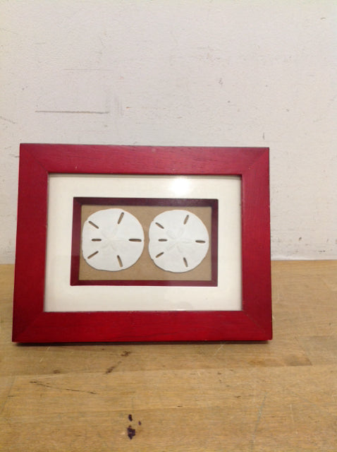 3x5 Framed Sand Dollars